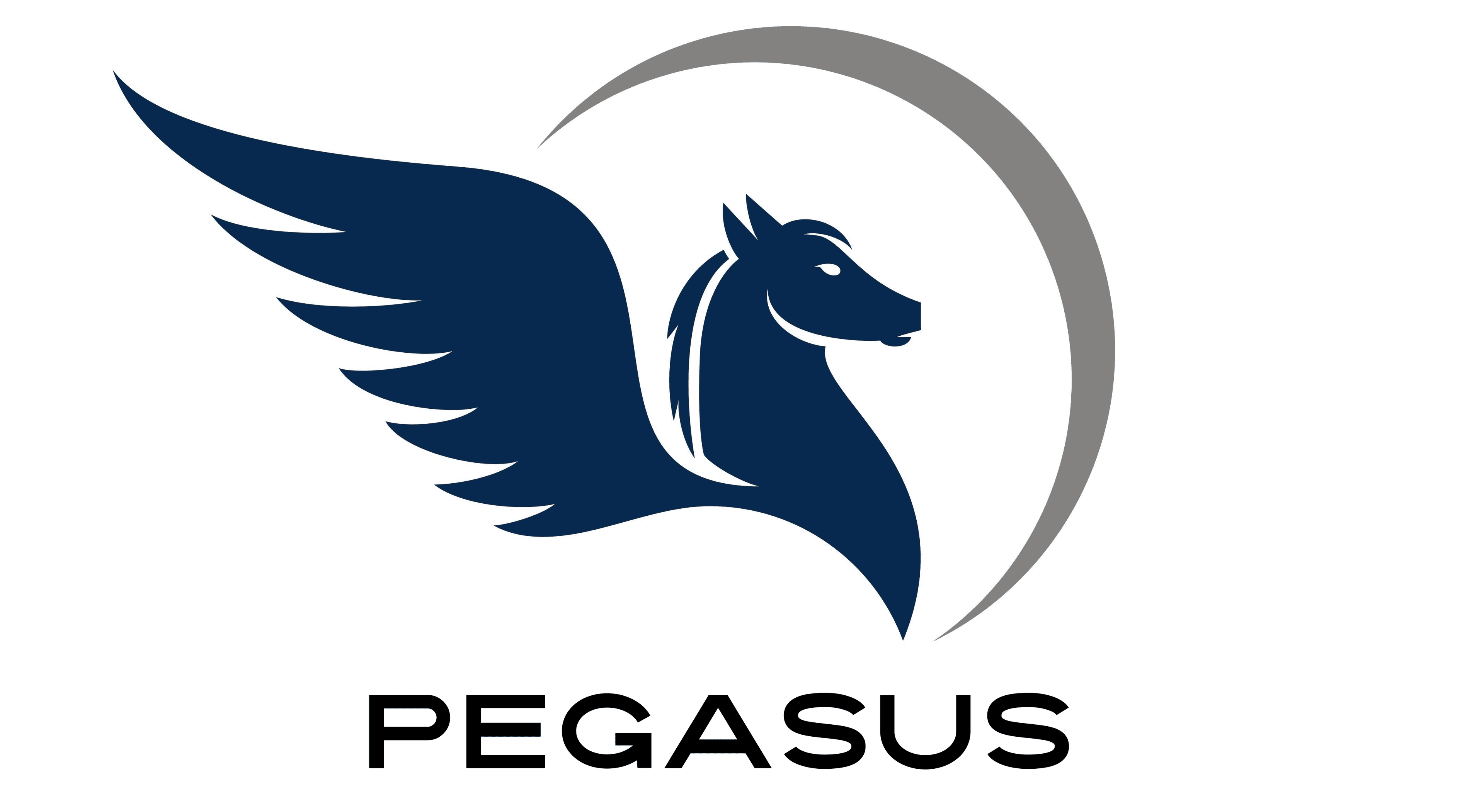 Pegasus Counselling